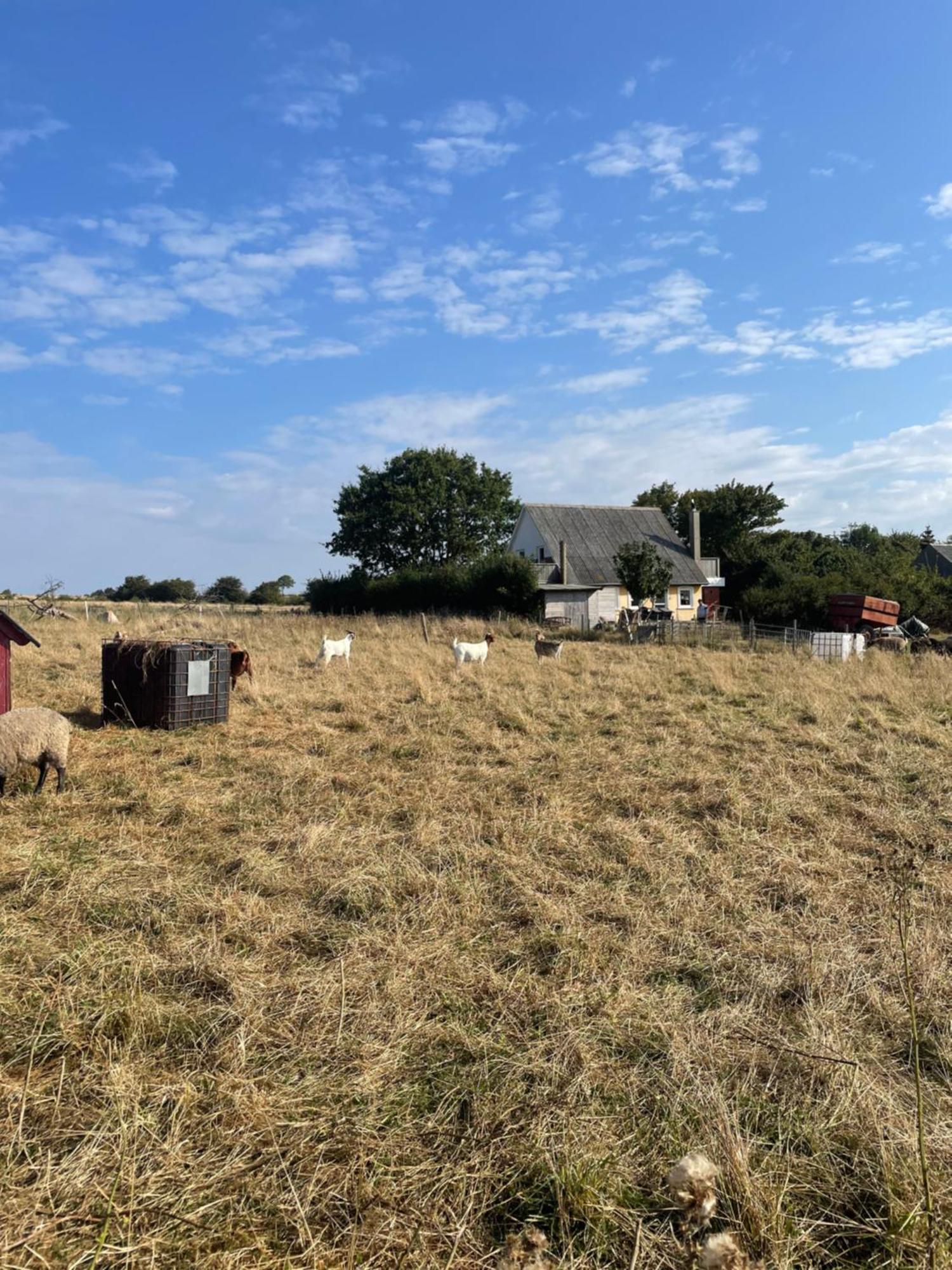 Oestermark Ærøskøbing Kültér fotó